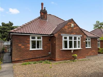 Picture 20